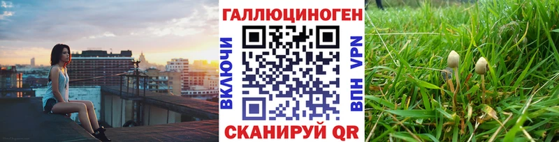 где купить   Котовск  Псилоцибиновые грибы мухоморы 