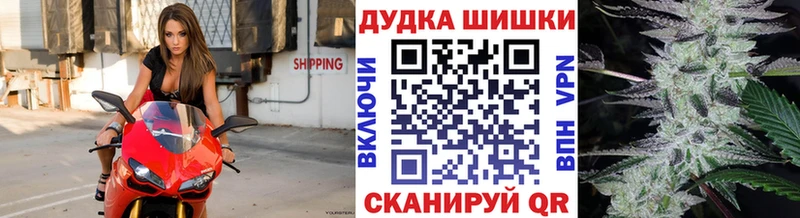 где купить наркотик  hydra зеркало  Бошки Шишки ГИДРОПОН  Котовск 